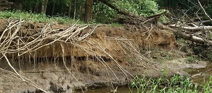 Activity: Let's Stop Erosion Design Challenge - Coastal Watershed Council