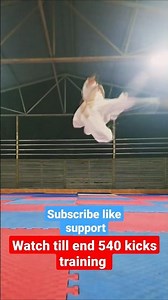 roundhouse kick 360 or 540 training 🤔 #shorts #taekwodno #kicks #540