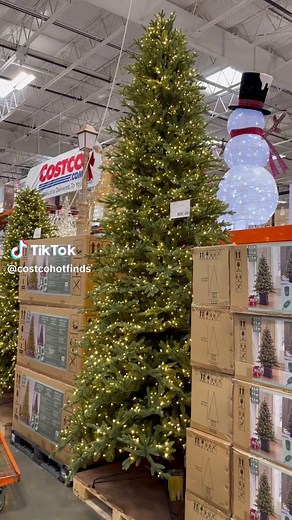 Costco Christmas Trees!