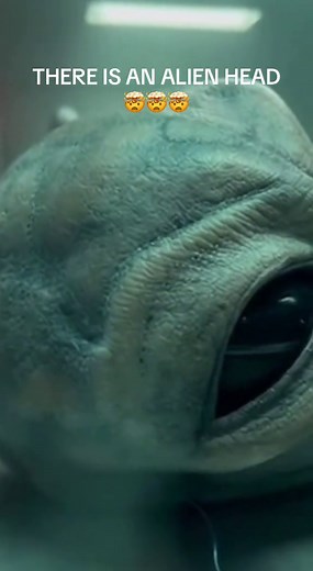 Incredible Alien Head Footage Revealed