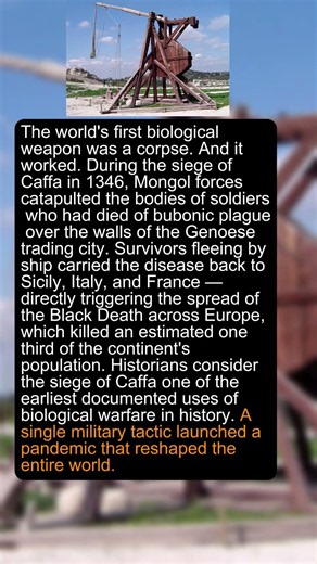 Medieval Armies Catapulted Plague Corpses Over City Walls to Start Epidemics #weaponhistory