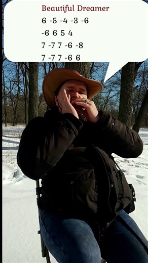 #harmonica #zenharmonica Beautiful Dreamer - Diatonic Harmonica C