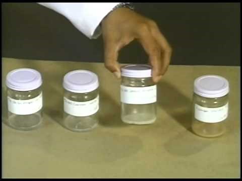 Acid-Fast Direct Smear Microscopy - A Laboratory Training Program