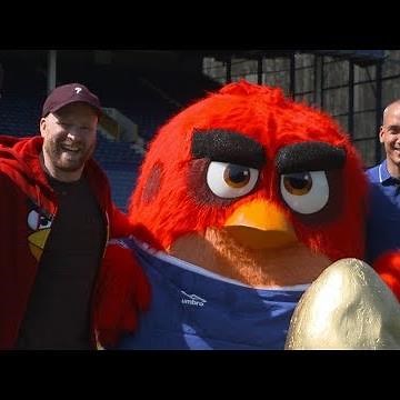 Angry Birds x Everton - Egg Cup