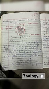 Reproduction in sponges -: ( asexual sexual & parthenogenesis) and Phylogeny