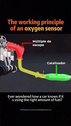 The working principle of an oxygen sensor #knowledge #usa #science