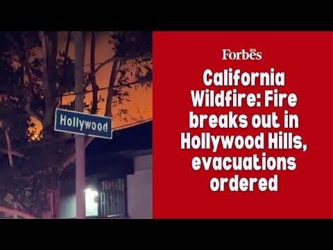 California Wildfire: Fire breaks out in Hollywood Hills, evacuations ordered
