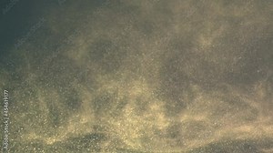 The motion of small particles. slow motion