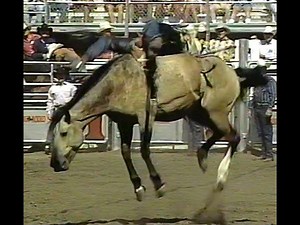 15K views · 460 reactions | Mark Garrett on Flying 5/Big Bend Rodeo’s Rawhide during the short round at a 1997 rodeo in Ellensburg, WA for 82 points. | All Things Roughstock | Facebook