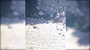 Images impressionnantes: Une falaise s’effondre sur une plage à Los Angeles