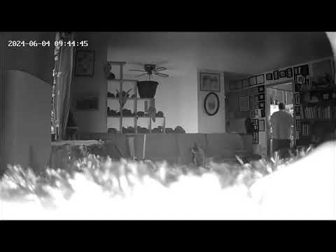 Teckin Home Security Camera: Dan Stealing Cheese Out of My Fridge