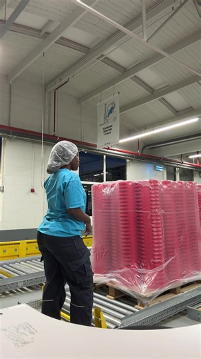 Working in the Netherlands 🇳🇱🥰 #holanda #netherlands #fyp #factory #worktime