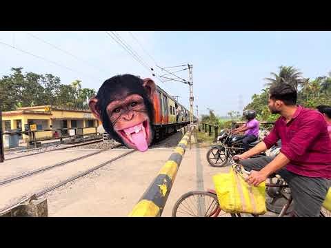 Indian new force, high speed chimpanzee local train, public reaction level crossing, omg ￼￼￼