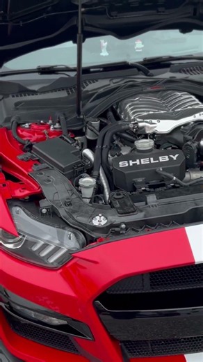 Is the Shelby GT500KR a kit car #cars #shorts #shelby #mustang #gt500