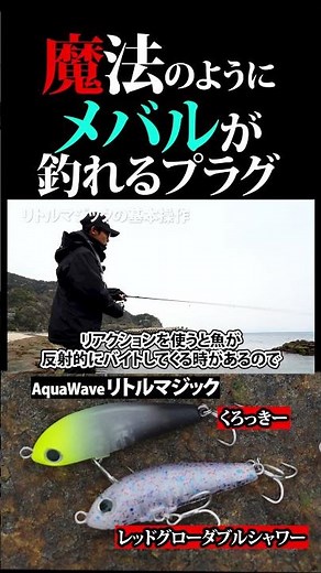 [Mebaru plugging] Amazing mebaru magic! #Aquawave #LittleMagic