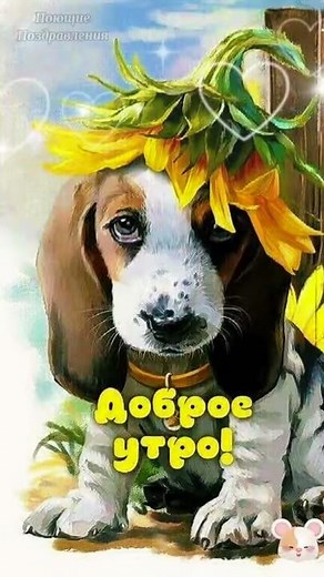 С добрым утром! Позитивчик с утра! Для друзей! #shorts