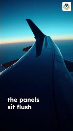 🛫 Krüger Flap vs. Slat: How the Boeing 777 Leading Edge Works #KruegerFlap #KrügerFlap