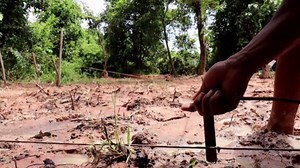 Building a Modern Villa with Stunning Design in the Jungle