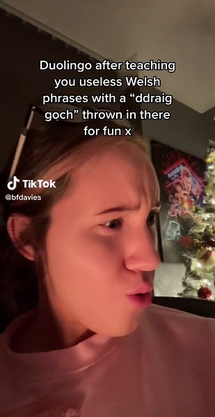 Exploring the Obsession with Y Ddraig Goch in Welsh Language Lessons