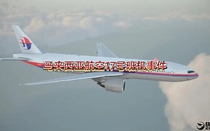 马来西亚航空17号班机事件