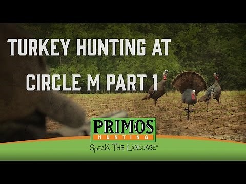 Turkey Hunting At Circle M Pt 1 - Mississippi Gobblers Down! - Primos Truth About Hunting Season 16