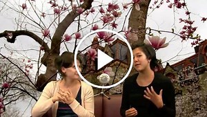 Discussing Pygmy Music