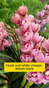 Types of irrigation water to stimulate growth #gardening #garden #gardeningtips #gardenlife #gardeninspiration #gardenideas #gardenlove #gardendesign #gardenersofinstagram #gardenersworld #garden_styles #gardenphotography #gardenlovers #gardenerslife #gardenart #gardenbeauty #gardensofinstagram #gardenplants #gardenviews #gardenersparadise #gardenista #gardeningcommunity #gardenloversclub #gardenaddict #gardeners #gardenerslife | Daily Garden Life