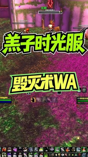 毁灭术打地鼠WA简单介绍 毁灭术打地鼠，感兴趣的可以去网易DD或者新手盒子里面搜索“羔子”就可以找到啦#魔兽世界时光服 #时光服 #毁灭术 #一键宏 #羔子时光服