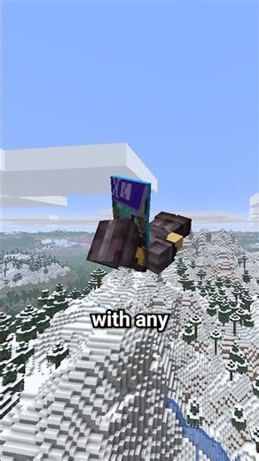 How to fly with ANY CHESTPLATE in Minecraft #minecraft #shorts