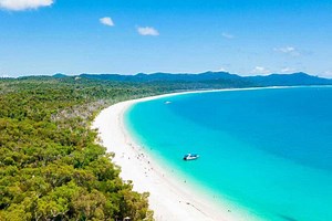 Whitehaven Beach Camping Whitsunday Island (Local Tips)