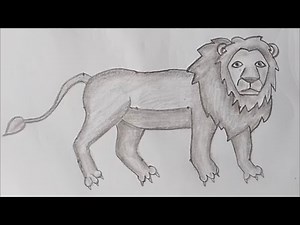 Easy Lion Drawing: Tutorial Step by Step for Beginners
