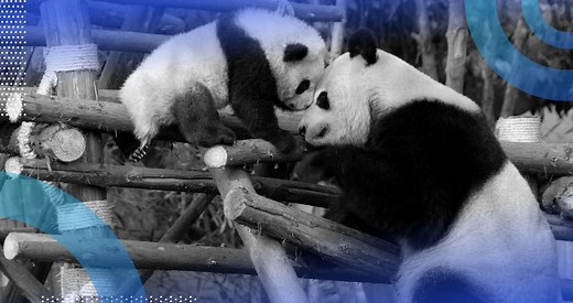 How to Create a Pandas Pivot Table in Python | Built In