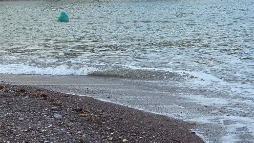 5.8K views · 105 reactions | Roll the old chariot along... Teignmouth/Shaldon Ferry headed for Teignmouth. 13 November 2025 Please note: Ferry is not running today. #riverteign #lovedevon #teignmouthferry #shaldonferry #ferryride #ferryboat #ferry #shiphappenstnm #shiphappens #devonshire #harbour #teignmouth #shaldon #devon | Ship Happens TNM | Facebook