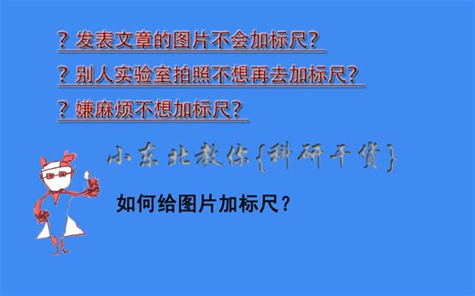 【科研干货】-如何给图片加标尺