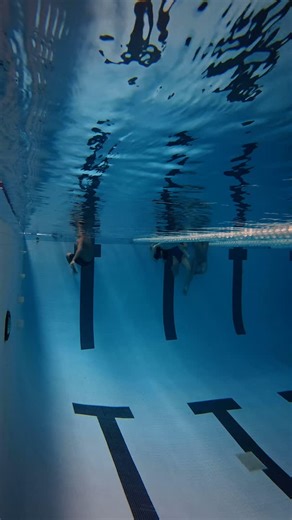 SWIMX COMMUNITY on Instagram: "Underwater Footage 🤝 Instagram Reels #swimming #swimtraining #underwater #swim"