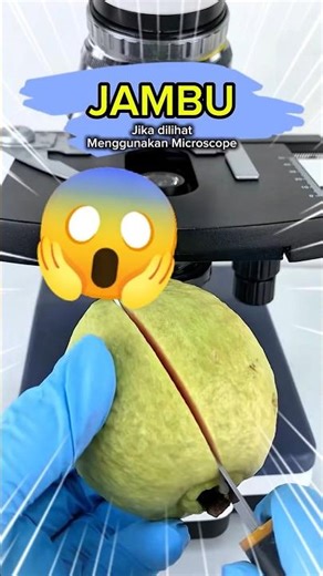 PASTI KAGET! 😮 Ini Dia "Batu Misterius" di Balik Gurihnya Jambu!