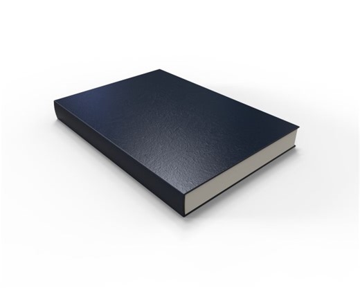 rigged book 3D Model in Other 203405 | 3DExport
