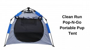 The Clean Run Pop-N-Go Portable Pup Tent was designed by Clean Run for the dog sport competitor who needs a versatile and portable dog crate that can be used in class, in hotels, and at indoor and outdoor trials. It's lightweight, sturdy, and sets up in seconds! Lots of ventilation with privacy too! Get yours here: https://www.cleanrun.com/product/clean_run_pop_n_go_portable_pup_tent/index.cfm | Clean Run