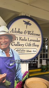 10K views · 238 reactions | Nature lovers, don’t miss Ali’i Kula Lavender Farm! https://www.mauihawaii.org/sights/lavender-farm/ Set at 4,000 feet in Upcountry Maui, it features over 45 lavender varieties and spectacular bi-coastal views. Open Friday to Monday, 10 am to 4 pm, entry is $3/person. #upcountry #kula #alii #lavender | Maui Hawaii | Facebook
