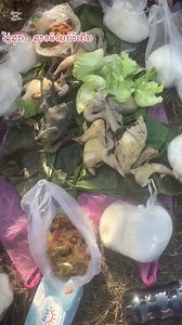 hluas nkauj hmoob ruam .. mloog nawb ພີ່ຕູ້.ທຳຄອມເທັ້ນຫີ້ນ. | Hmong Talk