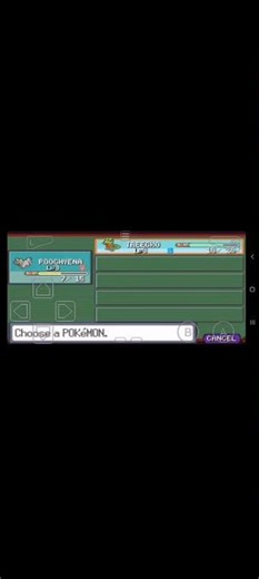 Pokemon ruby GBA