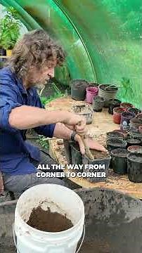 Grow Trees From Cuttings