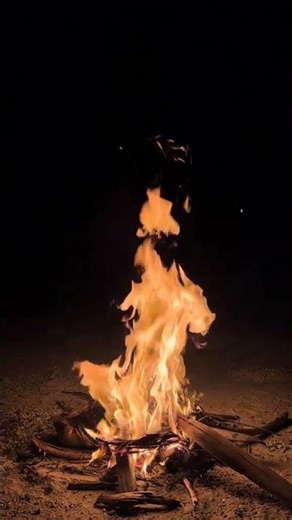 snaptik 7539200385446202632 v2 1