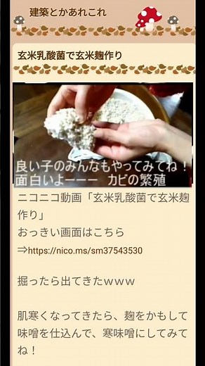 玄米乳酸菌で玄米麹の作り方