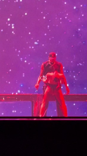 Chris Brown Concert Highlights and Performances