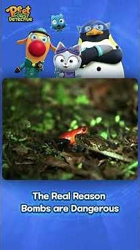 😱💣The Real Reason Bombs are Dangerous | Blue Jeans Frog | Peet The Forest Detective #shorts