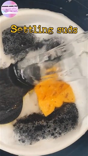 ASMR ☁️Settling suds☁️ Watery squeezes 🫧🧽 #shorts #asmrsponge #spongerinse