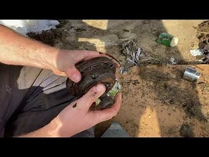 New Idea Mower Rebuild Part 1 | Checking for Wear on a New Idea 5209 Mower and Replacing PTO Shield