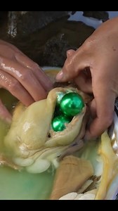 Wonderful colorful pearls coming out of giant oysters. Please watch together how colorful huge pearls are produced and extracted. Production of green huge pearls. Many colorful pearls coming out of oysters. How do you think wonderful pearls are found and produced in the seas? #nature #wonderful #sea #pearl #oysters #pearls #sealife #colorful #sealovers #amazing #pearllover #seas #fypシ | Nature Geography
