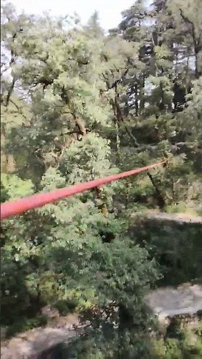 When You Make Your Own Zipline 😱😱. #DIY #zipline #forest #outdoors